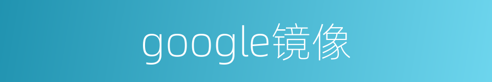 google镜像的同义词