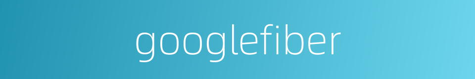 googlefiber的同义词