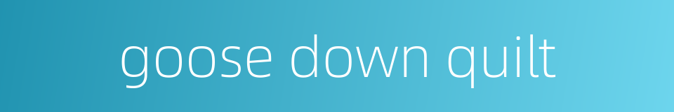 goose down quilt的同义词