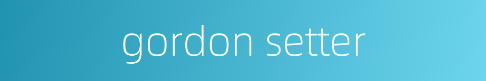 gordon setter的同义词