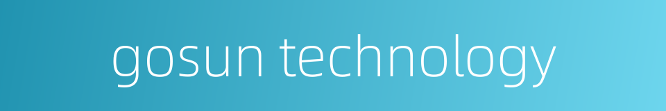 gosun technology的同义词