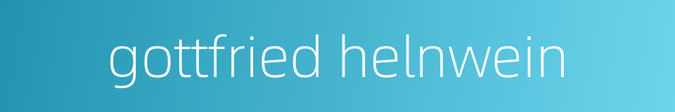 gottfried helnwein的同义词