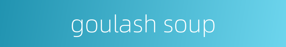 goulash soup的同义词