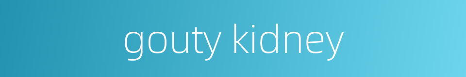 gouty kidney的同义词