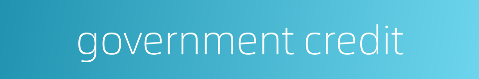 government credit的同义词