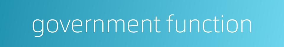 government function的同义词