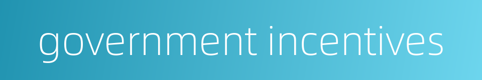 government incentives的同义词