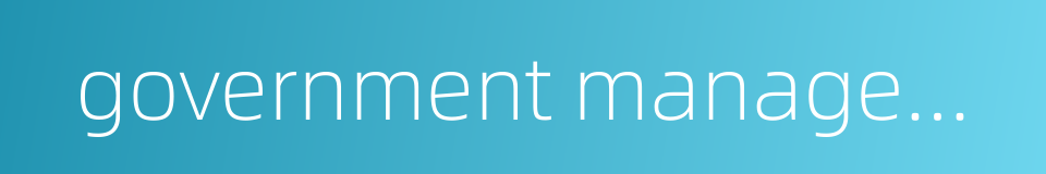 government management的同义词