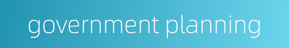 government planning的同义词