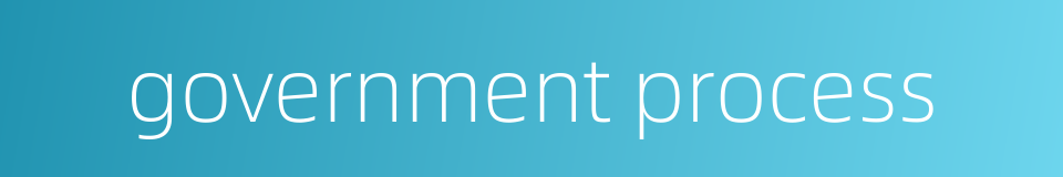 government process的同义词