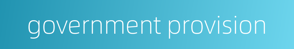 government provision的同义词