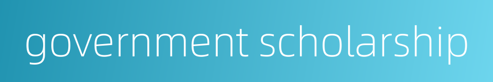 government scholarship的同义词
