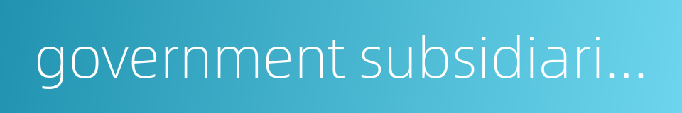 government subsidiaries的同义词