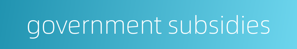 government subsidies的同义词