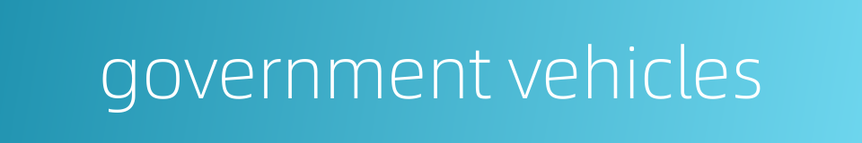 government vehicles的同义词