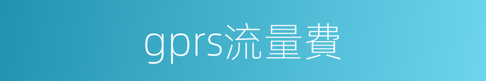 gprs流量費的同義詞
