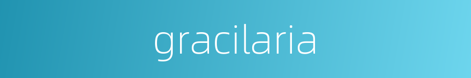 gracilaria的同义词