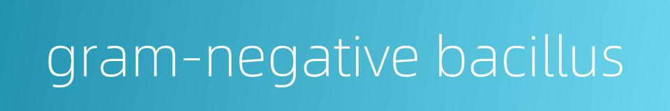 gram-negative bacillus的同义词