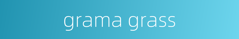 grama grass的同义词