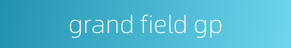grand field gp的同义词