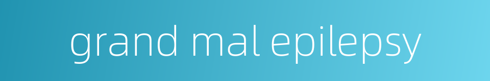 grand mal epilepsy的同义词