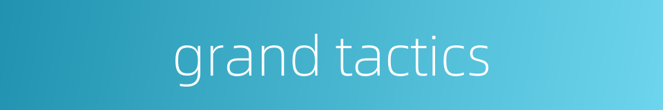 grand tactics的同义词