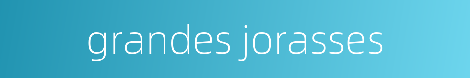 grandes jorasses的同义词