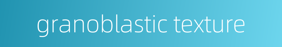 granoblastic texture的同义词