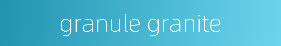 granule granite的同义词
