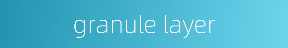 granule layer的同义词