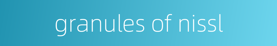 granules of nissl的同义词