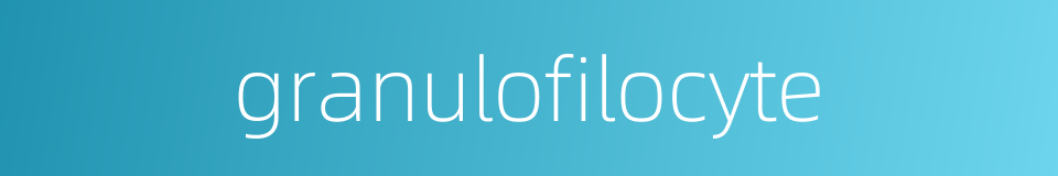 granulofilocyte的同义词