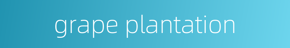 grape plantation的同义词