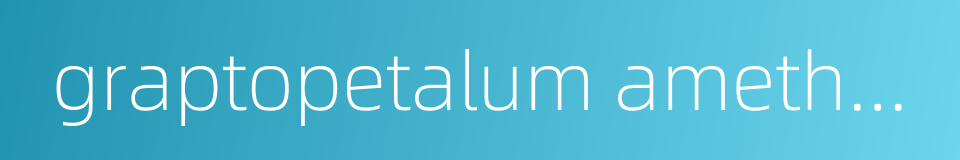 graptopetalum amethystinum的同义词