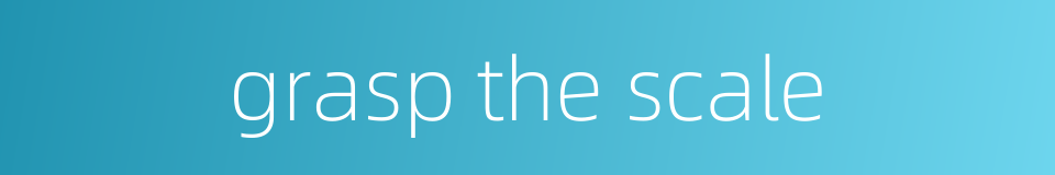 grasp the scale的同义词