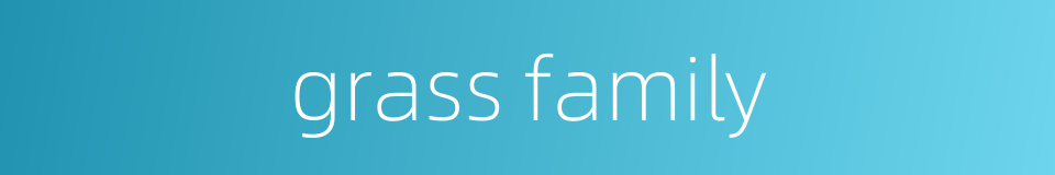 grass family的同义词