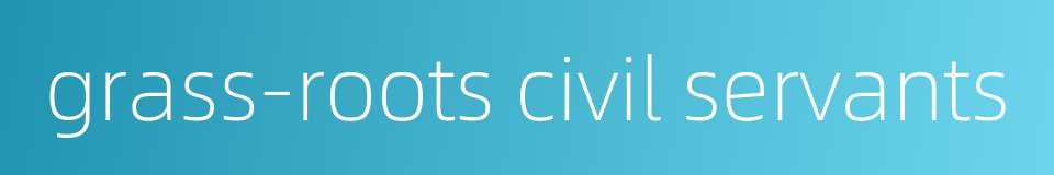 grass-roots civil servants的同义词