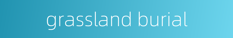 grassland burial的同义词
