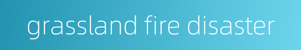 grassland fire disaster的同义词