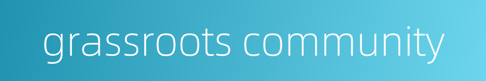 grassroots community的同义词