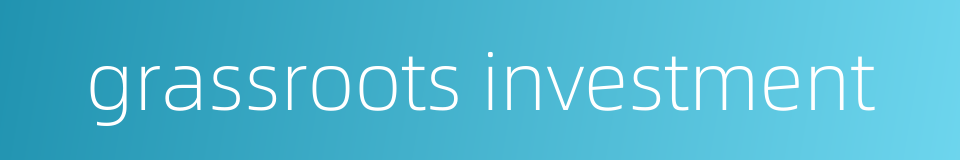 grassroots investment的同义词
