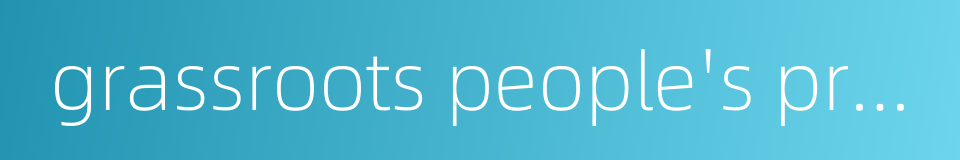 grassroots people's procuratorate的同义词