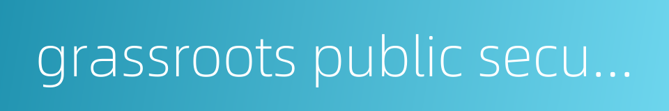 grassroots public security agency的同义词