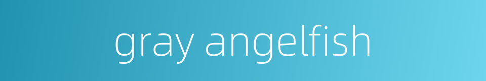 gray angelfish的同义词