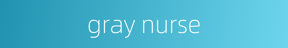 gray nurse的同义词