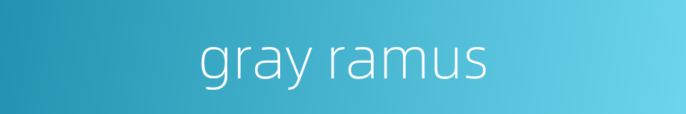 gray ramus的同义词