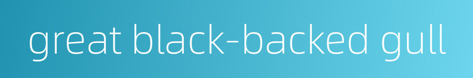 great black-backed gull的同义词