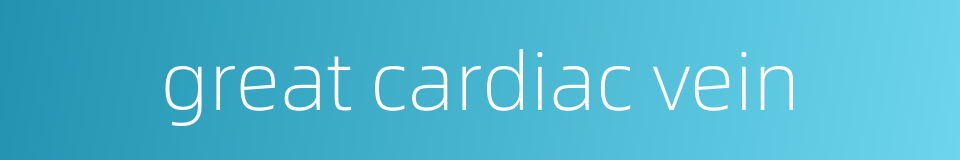 great cardiac vein的同义词