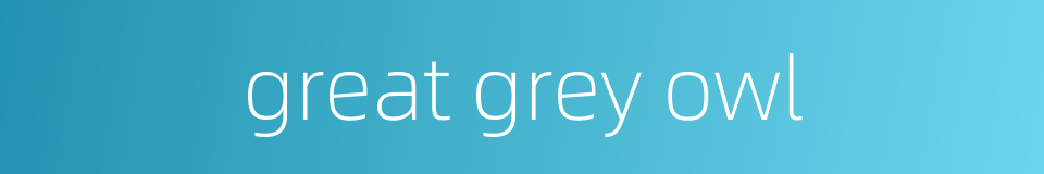 great grey owl的同义词