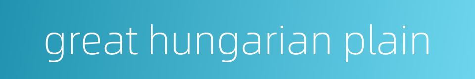 great hungarian plain的同义词